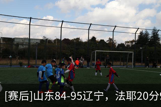 [赛后]山东84-95辽宁，法耶20分9板6冒，库珀22分5板8助